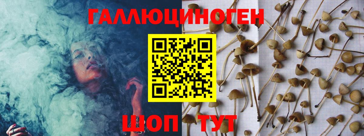 Галлюциногенные грибы мицелий  Вход с VPN  Северобайкальск  Галлюциногенные грибы Psilocybine cubensis 